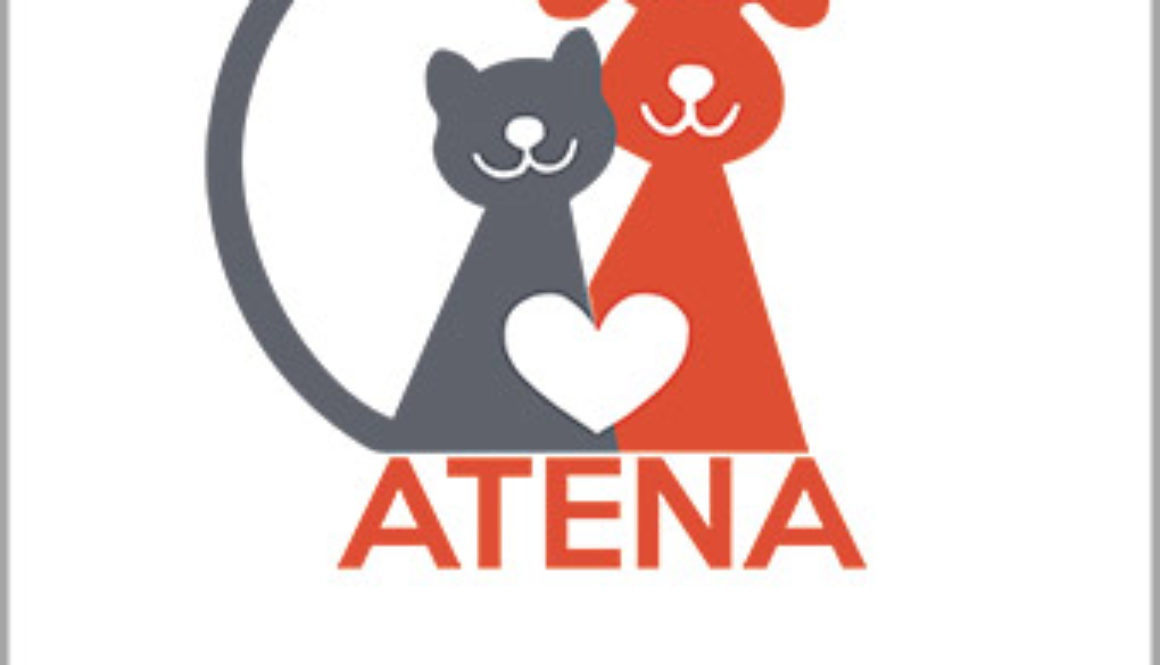 Logo-Atena-informazione