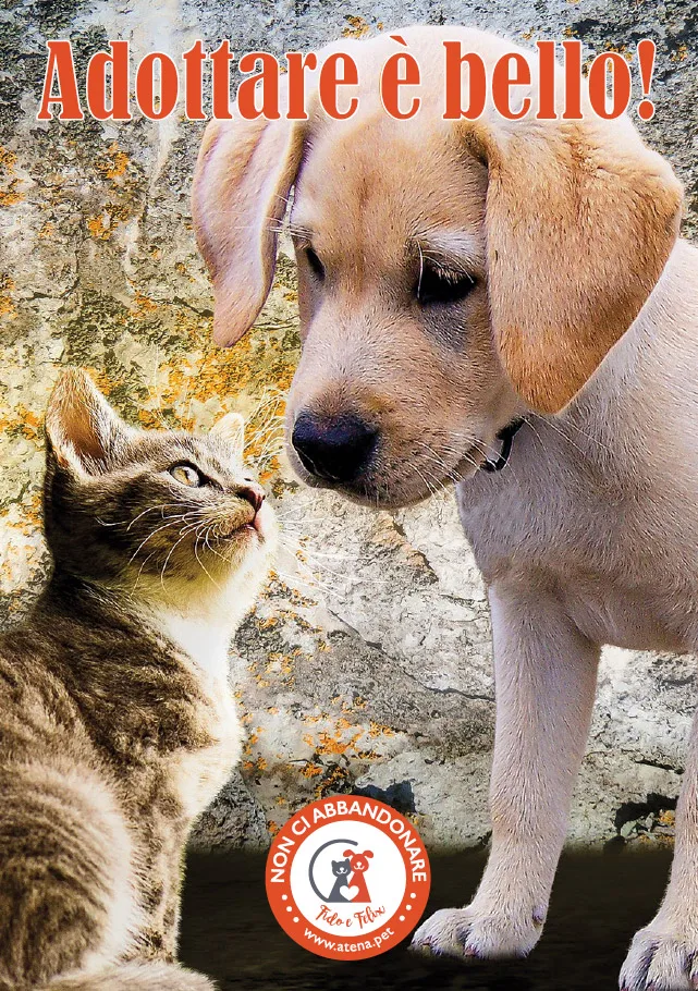 Volantino-Atena-fronte