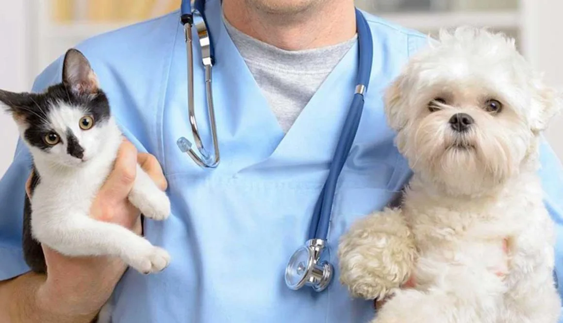 strelizzazione-del-cane-e-del-gatto