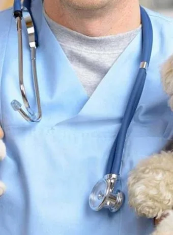 strelizzazione-del-cane-e-del-gatto