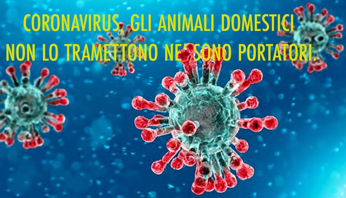Coronavirus-animali-domestici