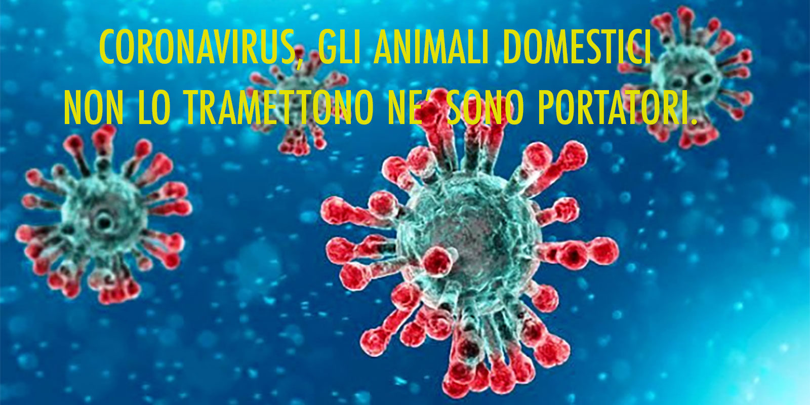 Coronavirus-animali-domestici