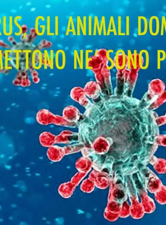 Coronavirus-animali-domestici