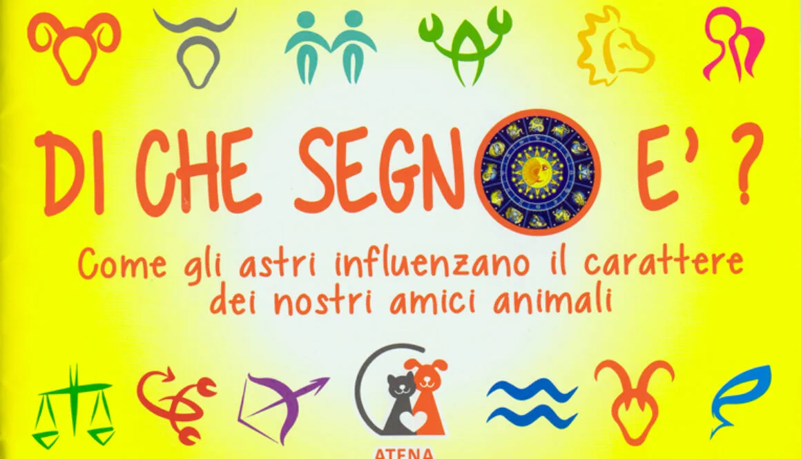 Di-che-segno-fronte
