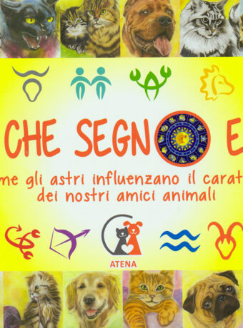 Di-che-segno-fronte