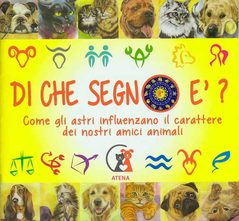 Di-che-segno-fronte Di-che-segno-fronte