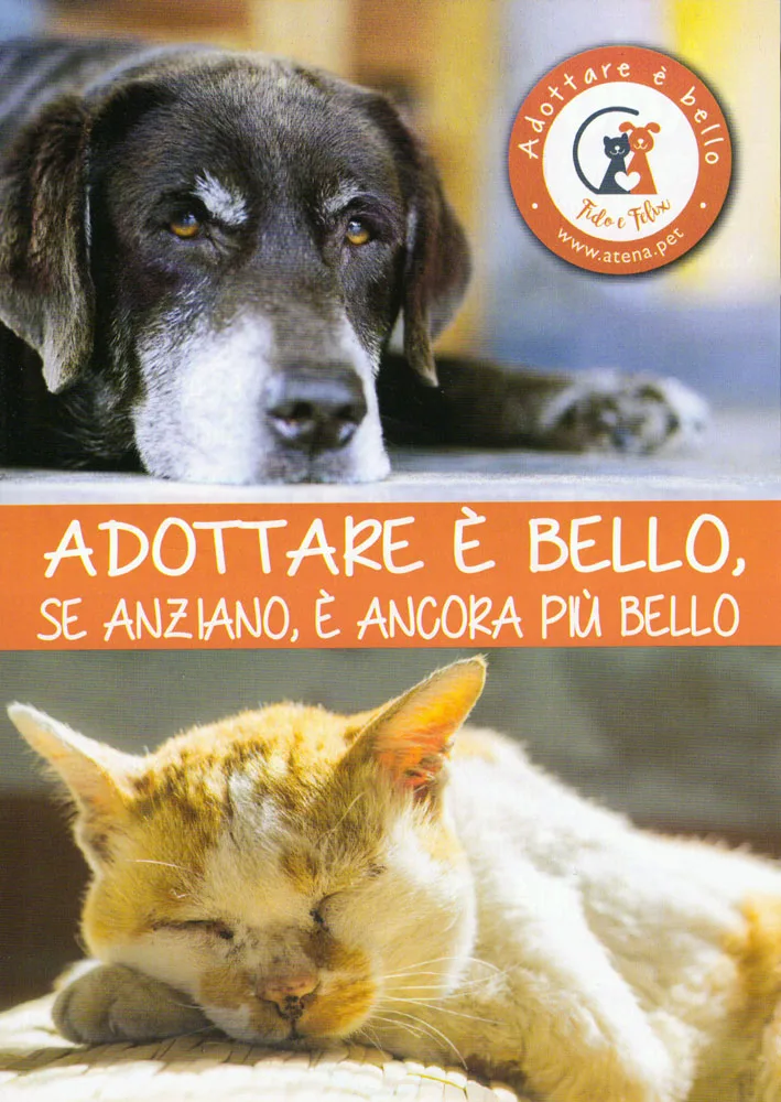 Adozioni-del-cuore-1